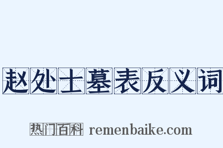 赵处士墓表反义词是什么意思的图片